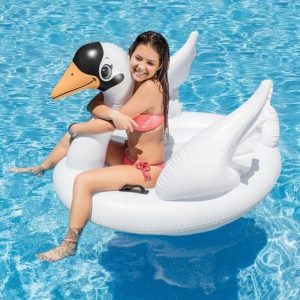 Cisne Insuflável INTEX #57557