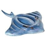 Intex Inflatable Lane #57550