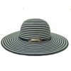 Blue Golden Strap Striped Capeline