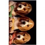 Puppy Microfiber Beach Towel 180 x 100 cm