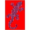 Salamander Egyptian Cotton Beach Towel