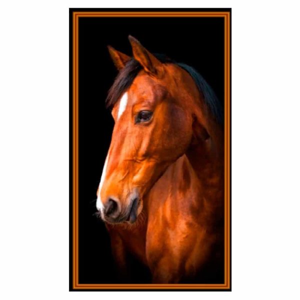 Horse Black Microfiber Beach Towel