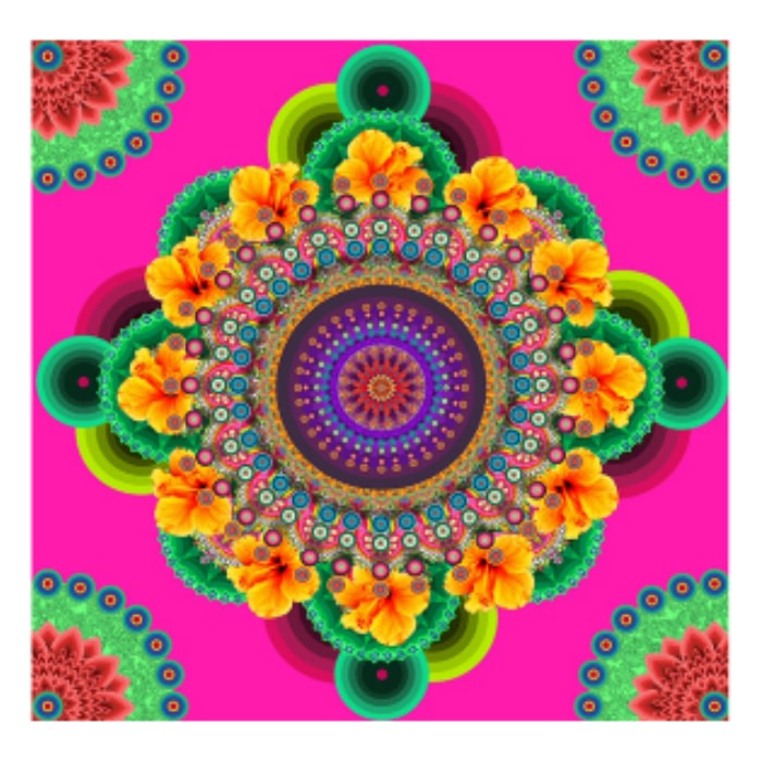 Fractals Double Beach Towel with Pink Bag