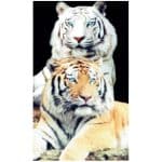 Tigres Black Microfiber Beach Towel
