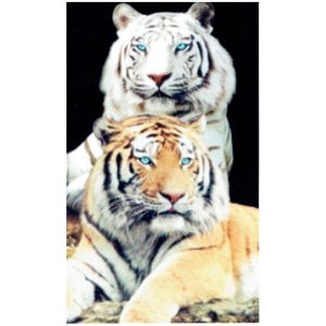Tigres Black Microfiber Beach Towel