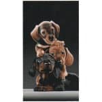Three Little Dogs Microfiber Beach Towel