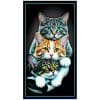 Microfiber-Beach-Towel-Tres-Gatos